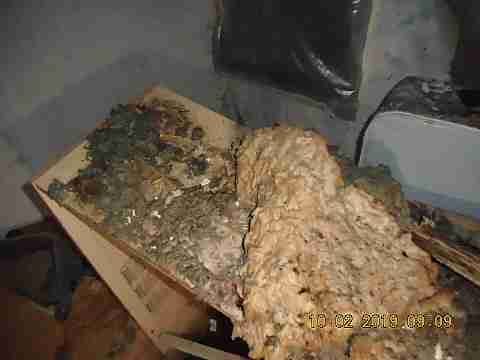 7721 Montrose (23)_m.jpg